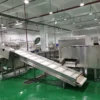 Fruit and vegetable production line