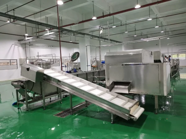 Fruit and vegetable production line